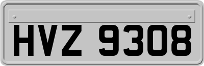 HVZ9308