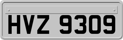 HVZ9309