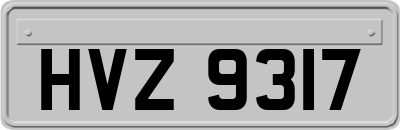 HVZ9317