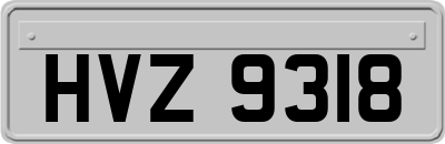 HVZ9318