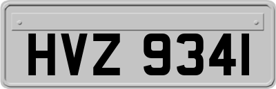 HVZ9341