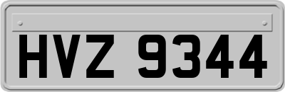 HVZ9344