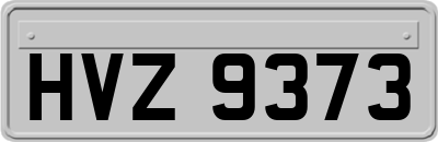 HVZ9373