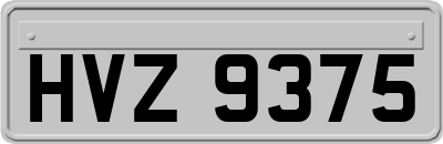 HVZ9375