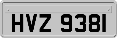 HVZ9381