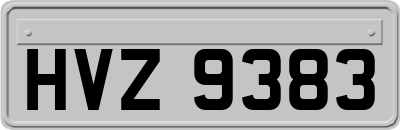 HVZ9383