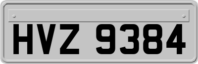 HVZ9384