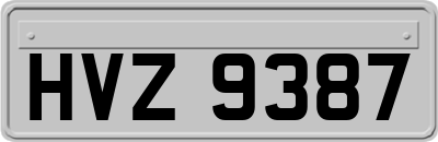 HVZ9387