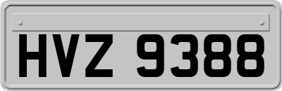 HVZ9388