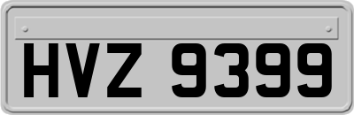 HVZ9399