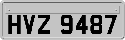 HVZ9487