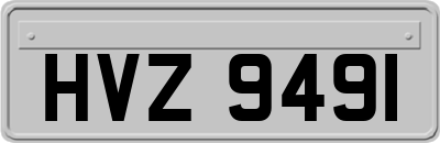 HVZ9491