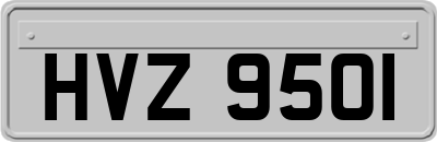 HVZ9501