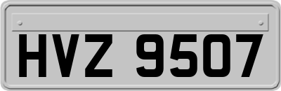HVZ9507