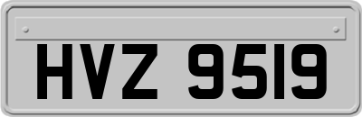 HVZ9519
