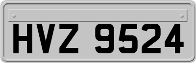 HVZ9524