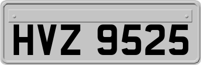 HVZ9525