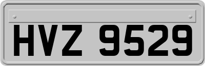 HVZ9529