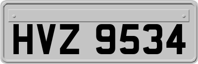 HVZ9534