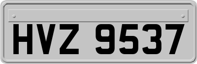 HVZ9537