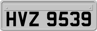 HVZ9539