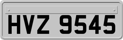 HVZ9545