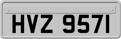 HVZ9571