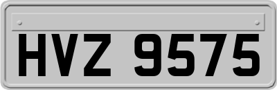 HVZ9575