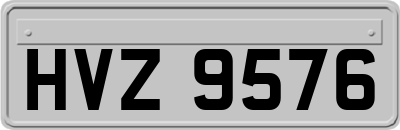 HVZ9576