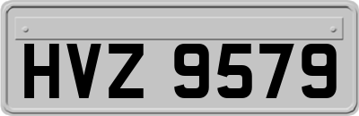 HVZ9579