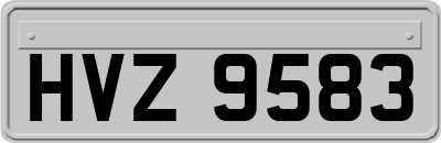 HVZ9583