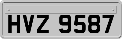 HVZ9587
