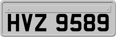 HVZ9589
