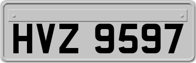 HVZ9597