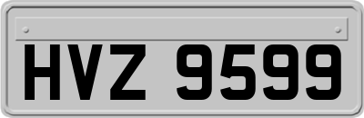 HVZ9599