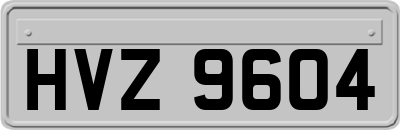 HVZ9604