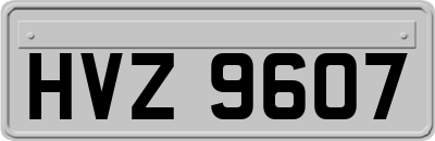 HVZ9607