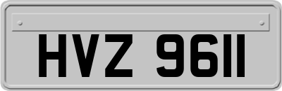 HVZ9611