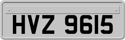 HVZ9615