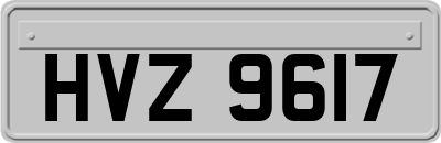 HVZ9617