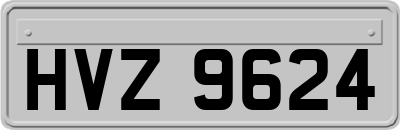 HVZ9624