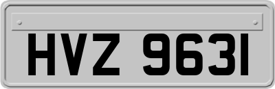 HVZ9631