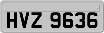 HVZ9636
