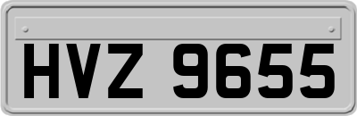 HVZ9655