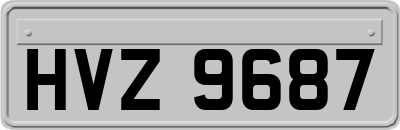 HVZ9687