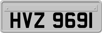 HVZ9691