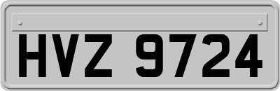 HVZ9724