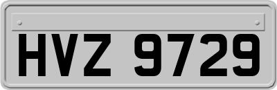 HVZ9729