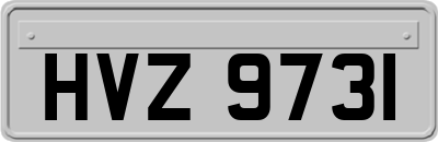 HVZ9731