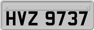 HVZ9737